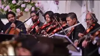 Junaid safdar wedding walima music #junaidsafdar #trending #pmln #unfrezzmyaccount #maryamnawaz