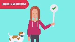 Rechargeable Bark Collar By Puppy Pawzy | Stop Barking Collar