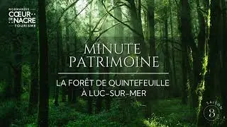 [Minute Patrimoine] Episode 6 - La for&ecirc;t de Quintefeuille