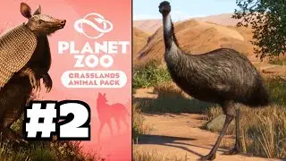 Permits and Pampas! Silver Star!!! Planet Zoo Grasslands Pack DLC - Part 2!