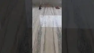 أرضية أحجام كبيرة رخام البرتغال بجودة عالية/marbre portugal