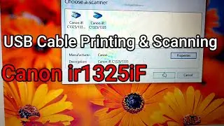Canon Printing and Scanning Installation Through USB Cable