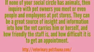 Tips In Finding Pet Vet
