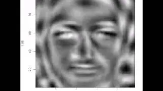Principal Components of the Kaggle facial keypoints training dataset