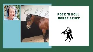 Horse Bling