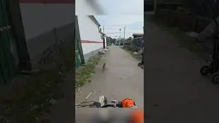 Эта собака НИКОГДА больше не будет лаять на байкера&hellip;😅 #шорты #байк #байкер #собака