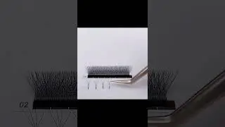 4D W-Shaped Eyelash Extensions