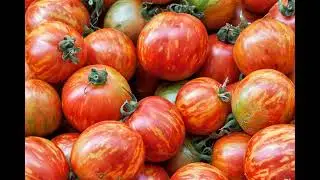 California Farm to Table Agriculture