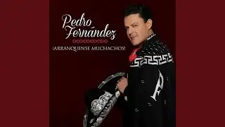 Si Me Lo Hubieras Pedido