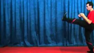 Cham-Kiu-Form-by-Sifu-Martin-Dragos