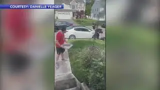 Pizza delivery man trips suspect on the run from police #shorts #pennsylvania