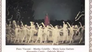 Gorgheggiante, usignoli, a volo libero - Maria Luisa Garbato