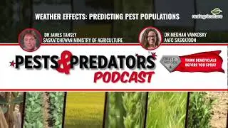PESTS & PREDATORS PODCASTS EP 13: Weather Effects - Predicting Pest Populations
