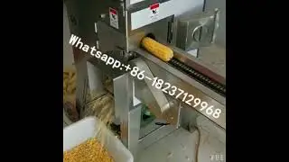 automatic fresh sweet waxy corn shelling machine maize sheller machine