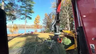 Where Do The Logs Come From? Chipper, Excavator, Tractor, Mini Skid, Climbers and A Spiderlift!  