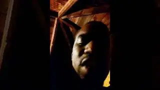 Roy Jones vs Anderson Silva fight stopped