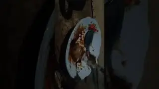 Makanan enak yang di masak sape gosong