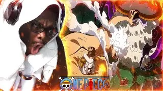 SHOW THEM WHY YOU A YONKO LUFFY!!! | One Piece Ep 1142 Reaction