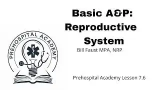 AP  Reproductive