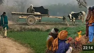 Early Morning in Village Heavy Winter Season Punjab Pakistan