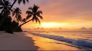 Tropical Beach Ambience 🌴 5 Hours of Ocean Waves | Relax, Sleep, Study (4K)