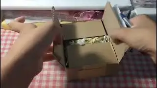 Sarynane/ inboxx top c&ugrave;ng tui, si&ecirc;u nh&igrave;u đồ tặng đẹp, vid hay🤩🤩