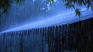 Forget Your Worries and Sleep Peacefully with Lashing Rain & Distant Thunder on a Metal Roof