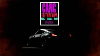 Elitna Ekipa x Shefica x Prinz - Tigre Loco - GANG SESSION