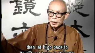 Setting animals free to save their lives(GDD-25, Master Sheng Yen)