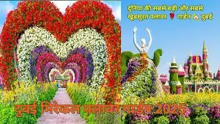 Miracle Garden Dubai 2025 | दुबई मिरेकल गार्डन | The world's largest natural flower garden | #दुबई