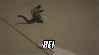 Kongjengra vs Kinghydra
