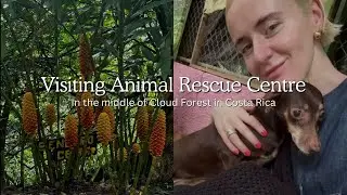 Visiting animal rescue centre in the middle of Cloud Forest in Costa Rica