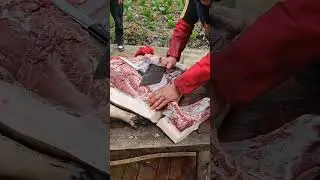 Pig Butchery Process 🐷 Fast & Clean Knife Work. ep178 #Cooking #shorts @FoodisFoodie