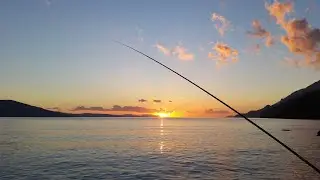 Fishing Therapy