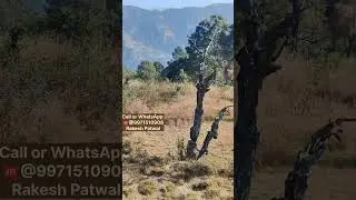 Land for sale in Pauri Garhwal |  land for sale in Uttarakhand | Salable Land  in Devbhumi |