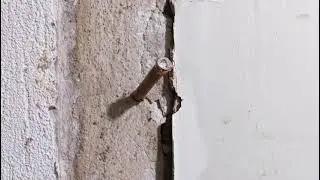 Remove stuck screw burred rounded screw hack! (After having had to cut away the surrounding wood.)