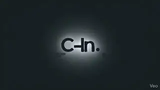 C-IN Protein Bar