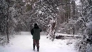 Winners And Losers Of The Blizzard