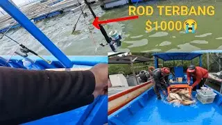 vlog#318  PECAH TONG!! SAIZ GORGON KALI NI #sangkarsgudang #fishing #sangkar