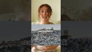 Choosing an eco-friendly litter