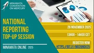 Minamata Online: National Reporting &ndash; Top-Up Session (English only)