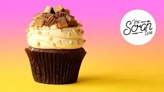 REESE'S PEANUT BUTTER CUP CAKES- The Scran Line