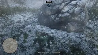Red Dead Redemption 2_20251231100123