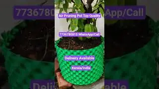 7736780815  WhatsApp/Call.#AirPot NEW QUALITY.#Air pot. #Air prooning pot, #air pruning, #trending