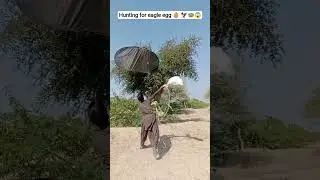 hunting for eagle 🦅🪺😱 egg #nest #birdhome #birds #harehunting #farming #junglehunter #EagleHunting