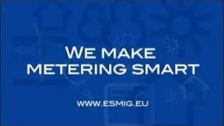What is ESMIG?