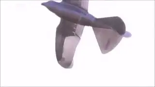 Robotic Zoo