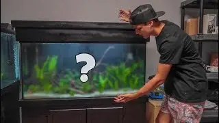 My NEW 90 GALLON AQUARIUM!!