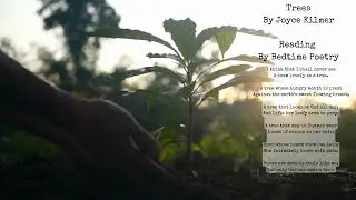 Trees By Joyce Kilmer | Read by Bedtime Poetry
