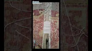 Repair & Restore Oriental Rugs | Flat Rate Carpet #shorts